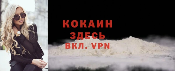 сатива Арсеньев