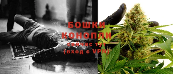 сатива Арсеньев