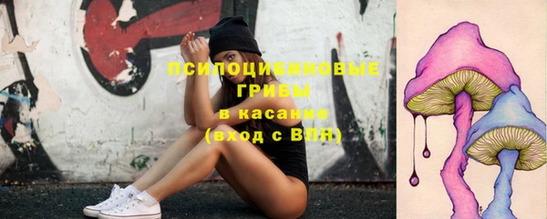 ГАЛЛЮЦИНОГЕННЫЕ ГРИБЫ Армянск