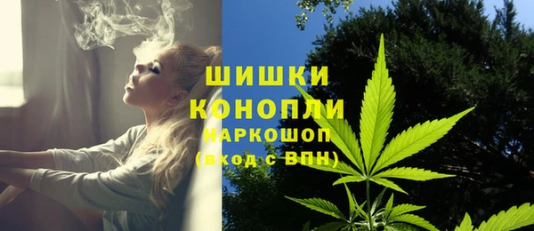 ГАЛЛЮЦИНОГЕННЫЕ ГРИБЫ Армянск